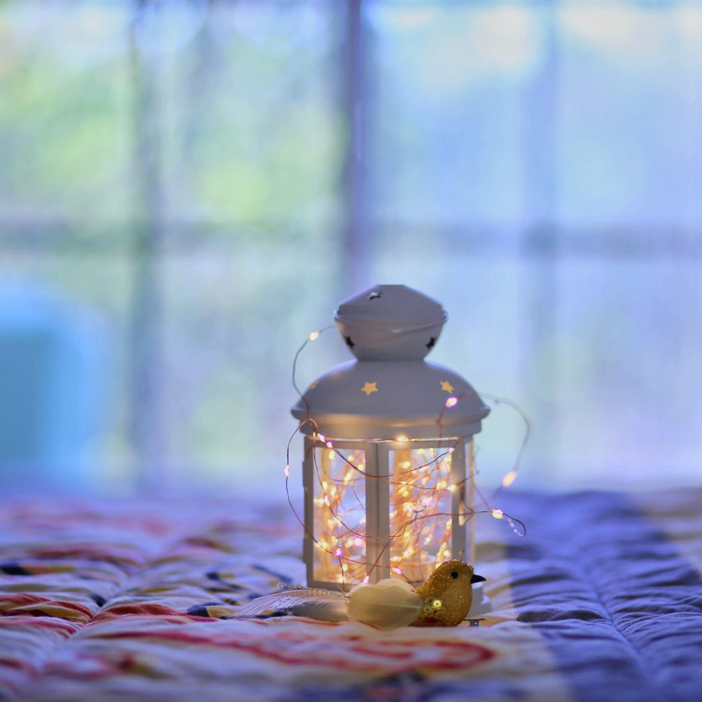 shashi-chaturvedula-b157cxGrTuk-unsplash-138