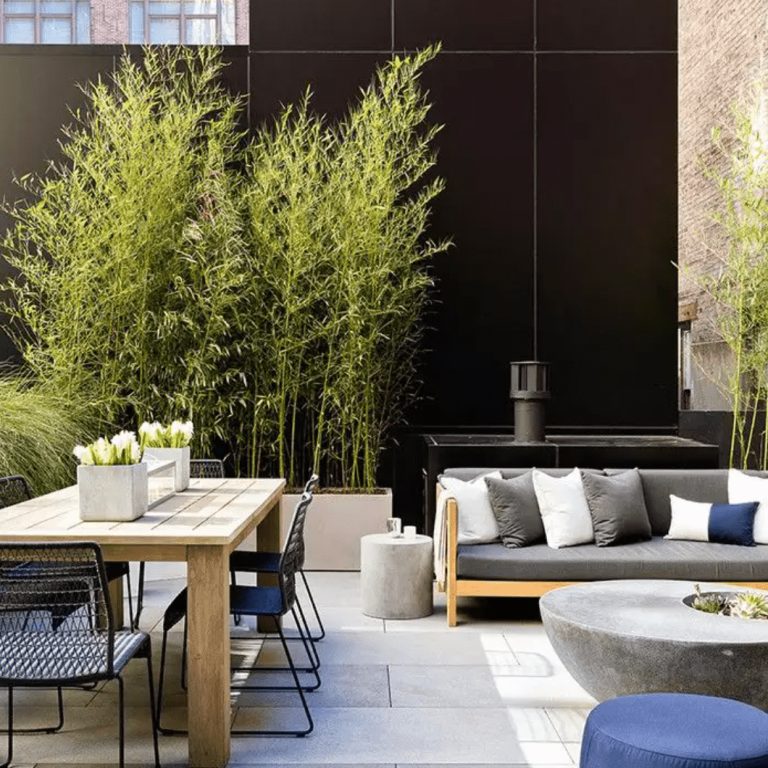 donnadotan-1da520a4b7b24d39b76c5f03dba2aab0-183